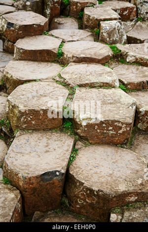 Basalto esagonale formazioni di pietra sul Giants Causeway north antrim coast Irlanda del Nord Foto Stock