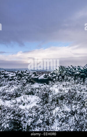 Longridge cadde, foresta di Bowland, Lancashire, Regno Unito. 18 gennaio 2015. Meteo news. Un freddo giorno di fells nella foresta di Bowland. La neve nella foresta e sul cadde rende una pittoresca scena. Credito: Gary Telford/Alamy live news Foto Stock