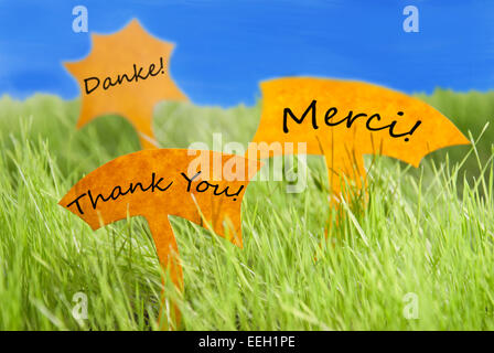 Tre etichette con testo tedesco Danke e testo francese Merci che significa la ringrazio di Sunny erba verde per la primavera o estate Feelin Foto Stock