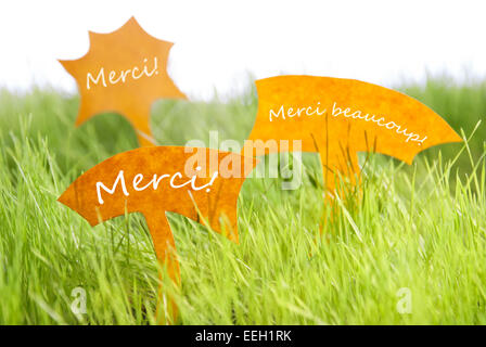 Tre etichette con testo francese e Merci Merci Beacoup che significa la ringrazio e ringrazio molto sul soleggiato verde erba per S Foto Stock