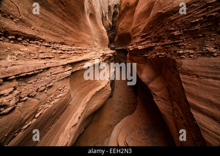 Spooky Gulch Foto Stock