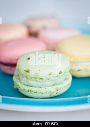 Una piastra di colorati macarons francese dalla duchessa Bake Shop in Edmonton, Alberta, Canada. Foto Stock