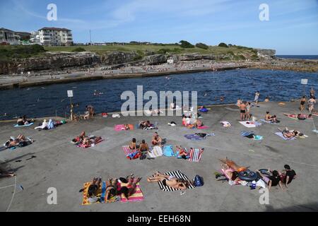 Clovelly Beach a Sydney's sobborghi orientali su una soleggiata Domenica in estate. Foto Stock