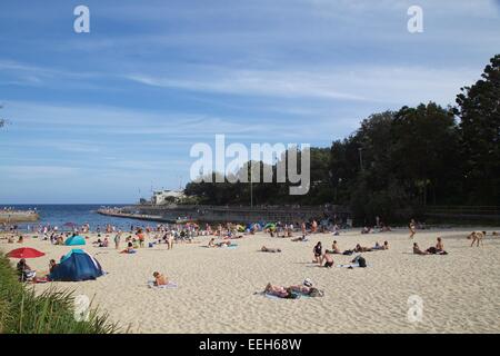 Clovelly Beach a Sydney's sobborghi orientali su una soleggiata Domenica in estate. Foto Stock