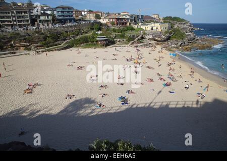 Tamarama Beach a Sydney's sobborghi orientali su una soleggiata Domenica in estate. Foto Stock