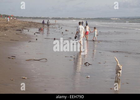 Un cane bianco e turisti a piedi lungo una spiaggia con lettiera. Foto Stock