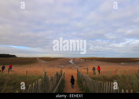 Il percorso che conducono Holkham Bay sulla costa di Norfolk. Foto Stock