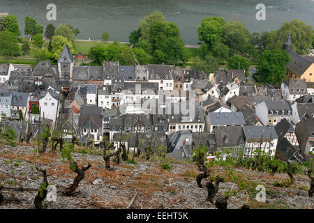 Vista in elevazione al di sopra della vigna e tipiche case a graticcio di Bacharach, Valle del Reno, Germania Foto Stock