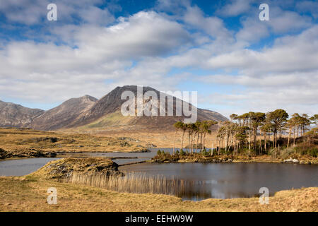 Irlanda, Co Galway, Parco Nazionale del Connemara, Bencorr, da Ballynahinch Foto Stock