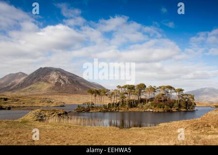 Irlanda, Co Galway, Parco Nazionale del Connemara, Bencorr, da Ballynahinch Foto Stock