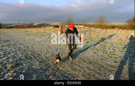 Brighton UK 2015 gennaio - Un camminatore del cane gode la mattina gelida bella con il suo cane alla riserva naturale di Hollingbury Ladies Mile Foto Stock