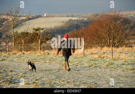 Brighton UK 2015 gennaio - Un camminatore del cane gode la mattina gelida bella con il suo cane alla riserva naturale di Hollingbury Ladies Mile Foto Stock