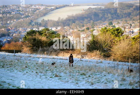 Brighton Regno Unito 19 Gennaio 2015 - una signora gode di una splendida mattina il pupazzo di neve con i suoi cani a Hollingbury nella periferia settentrionale di Brighton. Il freddo è stato previsto per la Gran Bretagna per la prossima settimana con avvisi di neve e ghiaccio Foto Stock