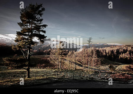 Tarn Hows, vicino a Coniston, nel distretto del lago, Cumbria, Regno Unito Foto Stock