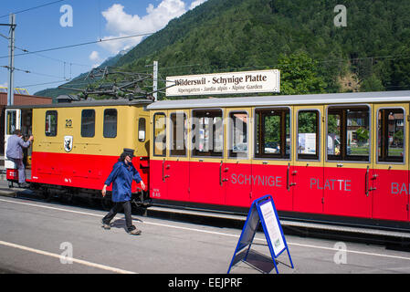 Femmina conduttore del treno di estensione lungo la banchina della stazione a Wilderswil svizzera Foto Stock