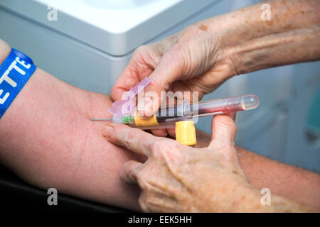 Tenendo il campione di sangue con un ago e un campione di sangue bottiglia Foto Stock