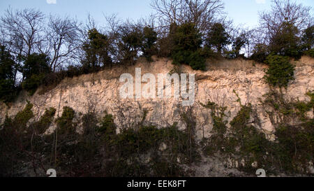 Faccia del nord di East Pit, con fornace da calce vicino al di sopra, Cherry Hinton Chalk Box, Cambridge, Regno Unito Foto Stock