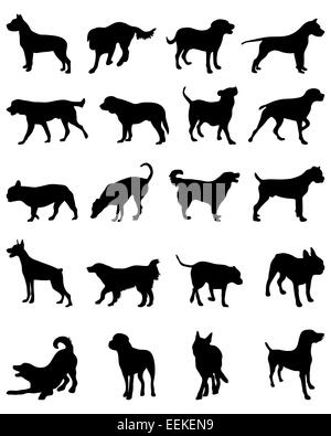 Silhouette nera di razze diverse di cani, vettore Foto Stock