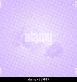 Delicato sottofondo femminile con rose sagomato da punti su un gradiente di sfondo puntinato Foto Stock