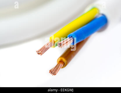 Stripped cordicelle di una a tre fili cavo di alimentazione Foto Stock