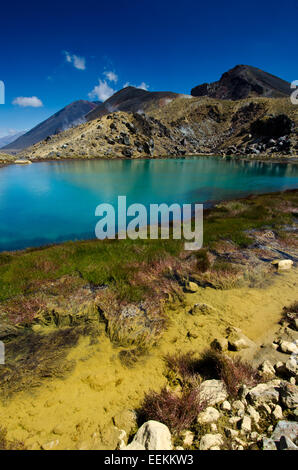 Nuova Zelanda, Tongariro NP Foto Stock