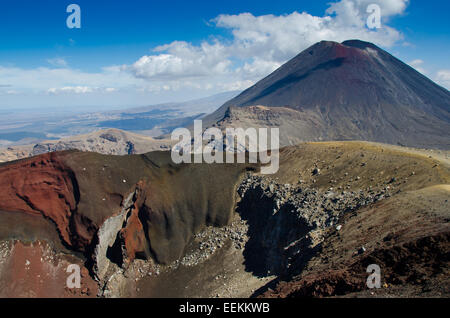 Nuova Zelanda, Tongariro NP Foto Stock