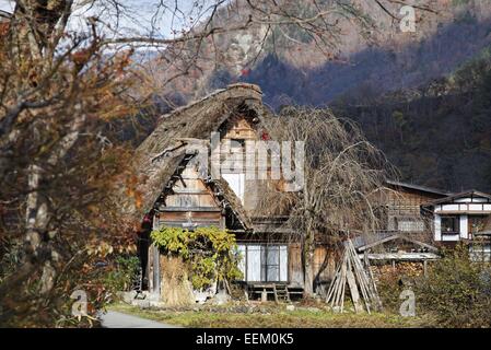 Gassho-zukuri case nel villaggio di Shirakawa, Giappone Foto Stock