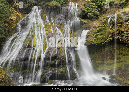 Fondo di Panther Creek Falls nello Stato di Washington Forest Foto Stock