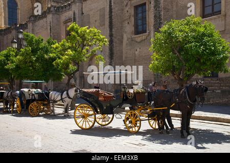 Carrelli nella città vecchia, Barrio Santa Cruz, Siviglia, Andalucía, Spagna Foto Stock