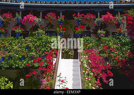 Fiore-adornato cortile interno durante la Fiesta de Los Patios, Córdoba, Andalucía, Spagna Foto Stock