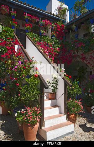 Fiore-adornato cortile interno durante la Fiesta de Los Patios, Córdoba, Andalucía, Spagna Foto Stock