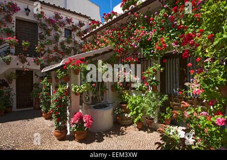 Fiore-adornato cortile interno durante la Fiesta de Los Patios, Córdoba, Andalucía, Spagna Foto Stock