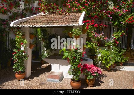 Fiore-adornato cortile interno durante la Fiesta de Los Patios, Córdoba, Andalucía, Spagna Foto Stock