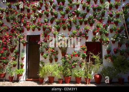 Fiore-adornato cortile interno durante la Fiesta de Los Patios, Córdoba, Andalucía, Spagna Foto Stock