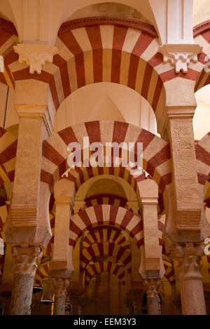 Il Portico in la Mezquita, Cordoba, Andalucía, Spagna Foto Stock