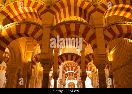 Il Portico in la Mezquita, Cordoba, Andalucía, Spagna Foto Stock