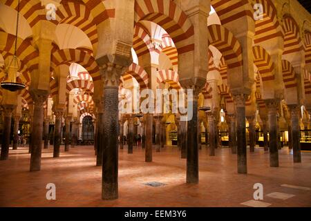 Il Portico in la Mezquita, Cordoba, Andalucía, Spagna Foto Stock