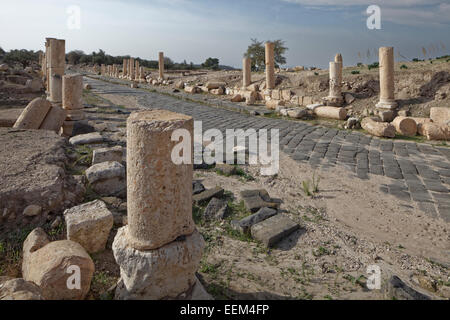 Asse Lastricato stradale, Decomanus, pilastri, antica città di Gadara, Umm Samir, Giordania Foto Stock