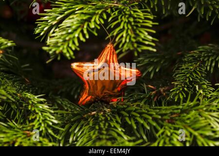 Decorazione di natale su albero di Natale, Germania Foto Stock