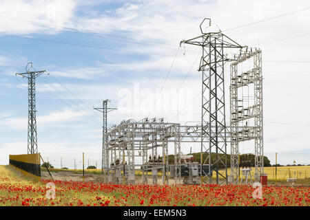 Equipaggiamento elettrico di una stazione di alimentazione nel mezzo di un campo di papaveri Foto Stock