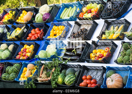 Verdura fresca e frutta specifico per la stagione autunnale disposti in gabbie ad una fiera Foto Stock