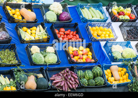 Frutta e ortaggi freschi disposti in gabbie per la vendita a una fiera autunnale Foto Stock