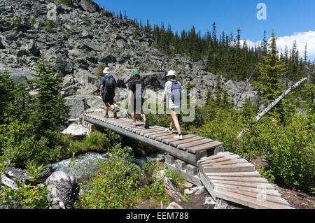 Canada, British Columbia, Joffre Laghi Parco Provinciale, gli escursionisti attraversando ponte pedonale Foto Stock