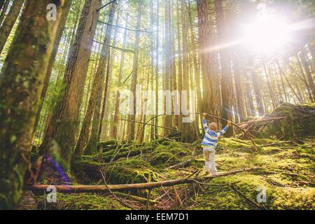 Ragazzo che si bilancia su un albero caduto nella foresta, Stati Uniti Foto Stock