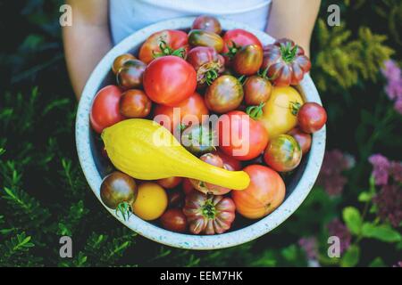 Ragazzo in piedi nel giardino con una ciotola di pomodori appena raccolti Foto Stock