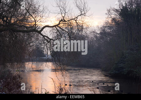 Finsbury Park, Londra, 20 gennaio 2015. Regno Unito Meteo. Finsbury Park in barca il lago è ricoperto da un leggero strato di ghiaccio su un freddo inverno mattina. Credito: Patricia Phillips/Alamy Live News Foto Stock