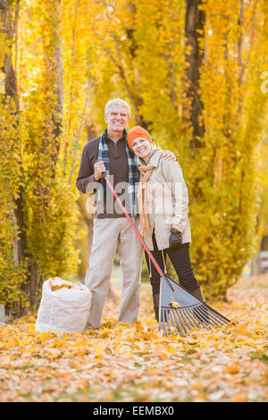 I vecchi Caucasian giovane a rastrellare foglie di autunno Foto Stock