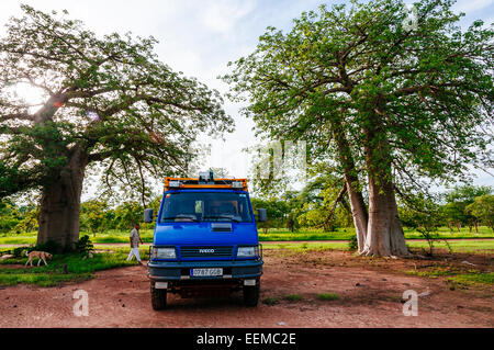 Uomo con 4x4 spedizione carrello campeggio nel bush, Mali. Foto Stock