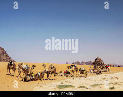 Il paesaggio del deserto con tourist cammelli in attesa presso Wadi Rum, Giordania Foto Stock
