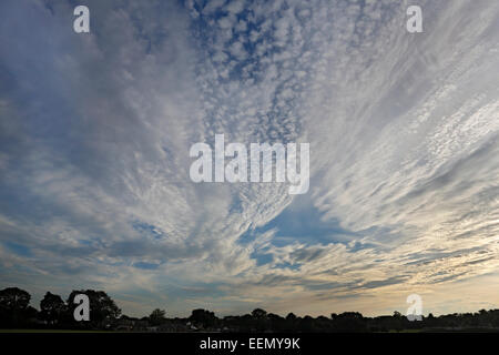 Cirrus cirrocumulus e formazioni di nubi su Willaston Village Wirral Cheshire Regno Unito settembre 54703 Foto Stock